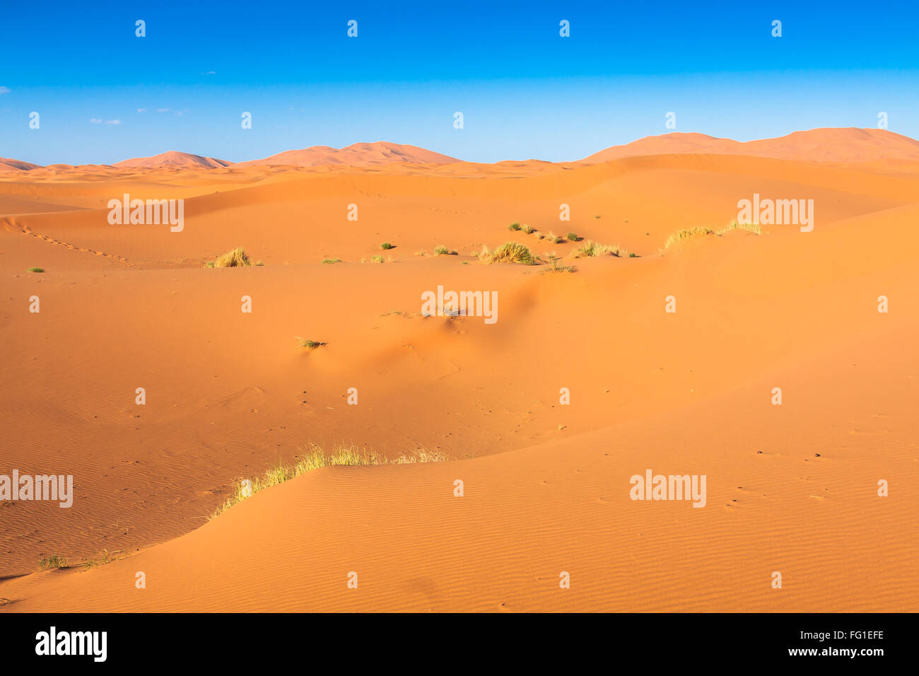 Sand dunes in the Sahara Desert, Merzouga, Morocco Stock Photo - Alamy