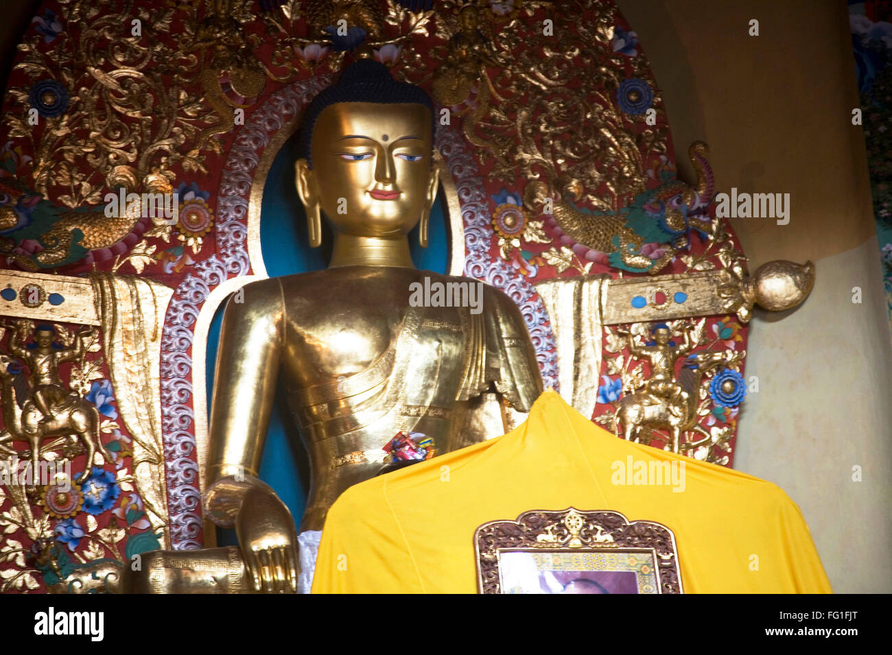 Golden color Buddha in Tibetan temple Norbulinka monastery , Dharamshala , Himachal Pradesh , Himalaya , India Stock Photo
