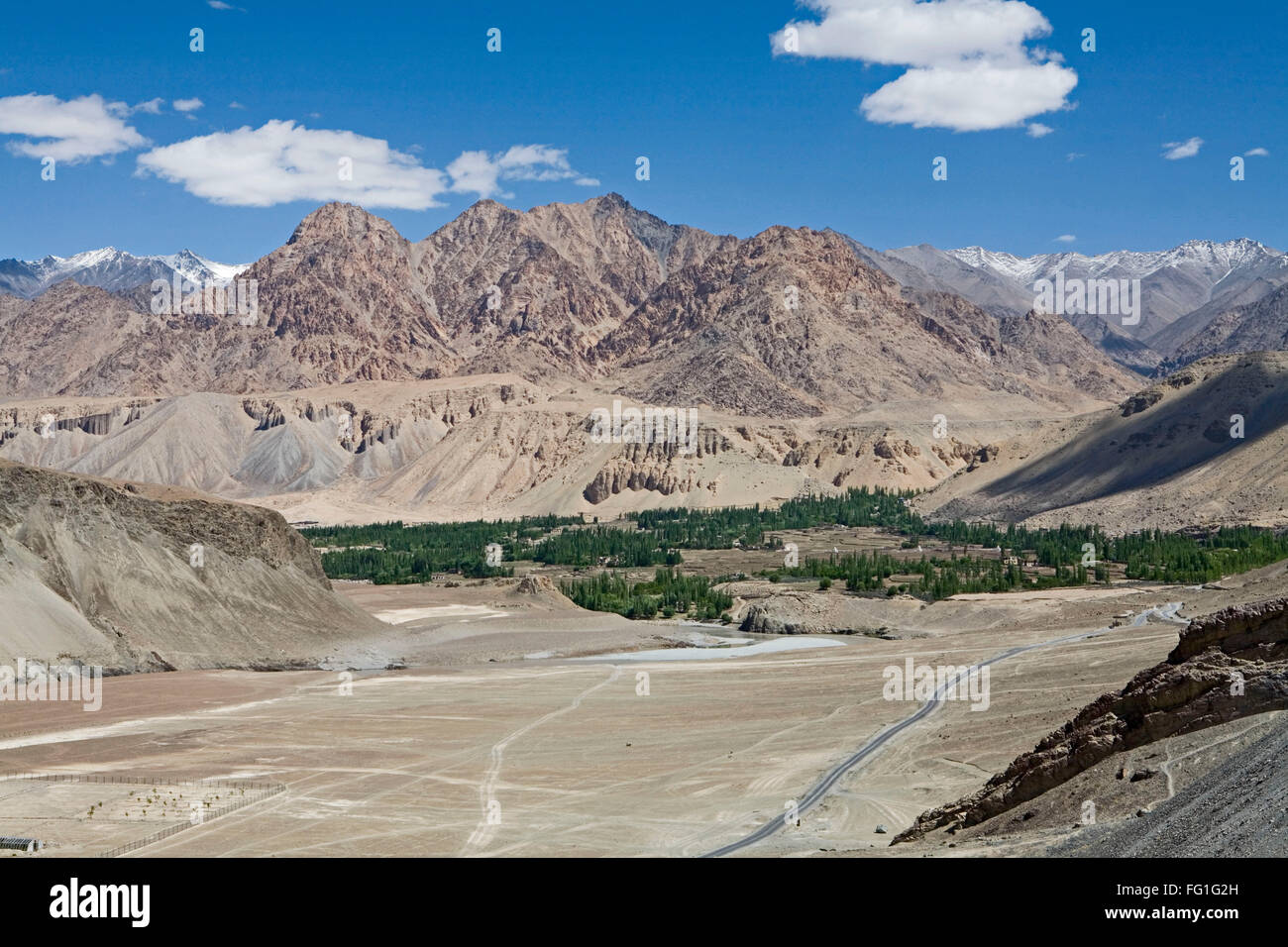 Kashmir willow hires stock photography and images Alamy