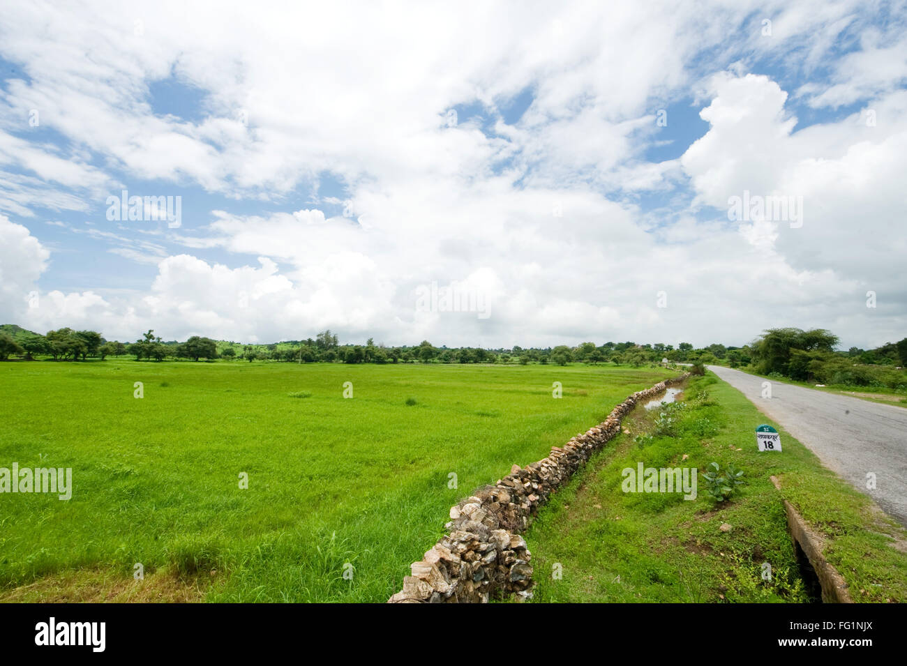 landscape green field india Stock Photo