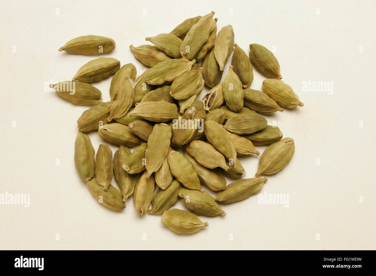 Indian condiments and spices , Ginger on white background Stock Photo