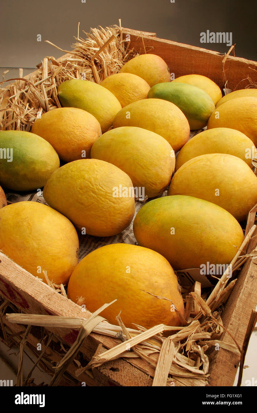 Fruits , Alphonso mangoes king of fruits packed in wooden box Pati wit ...
