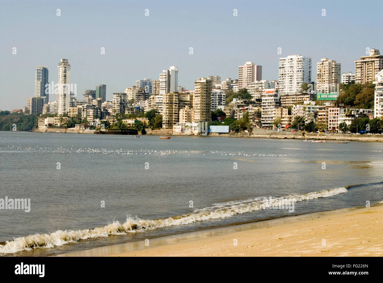 View of buildings and Arabian sea with seagulls on water , Bombay Mumbai , Maharashtra , India Stock Photo