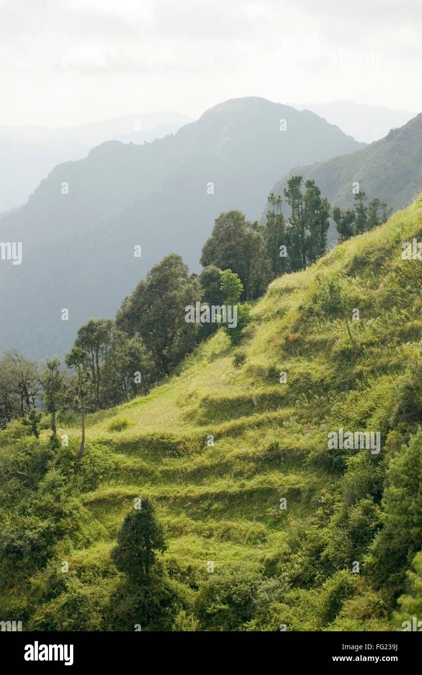 Mountain ranges landscape at Kaddukhal , Uttaranchal , India Stock Photo