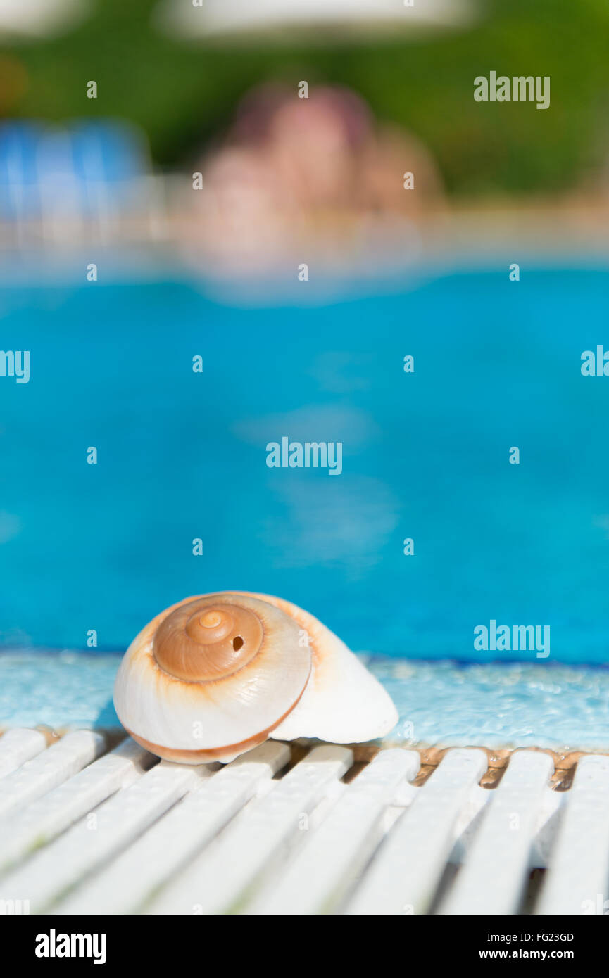 Swimming pool shell hires stock photography and images Alamy