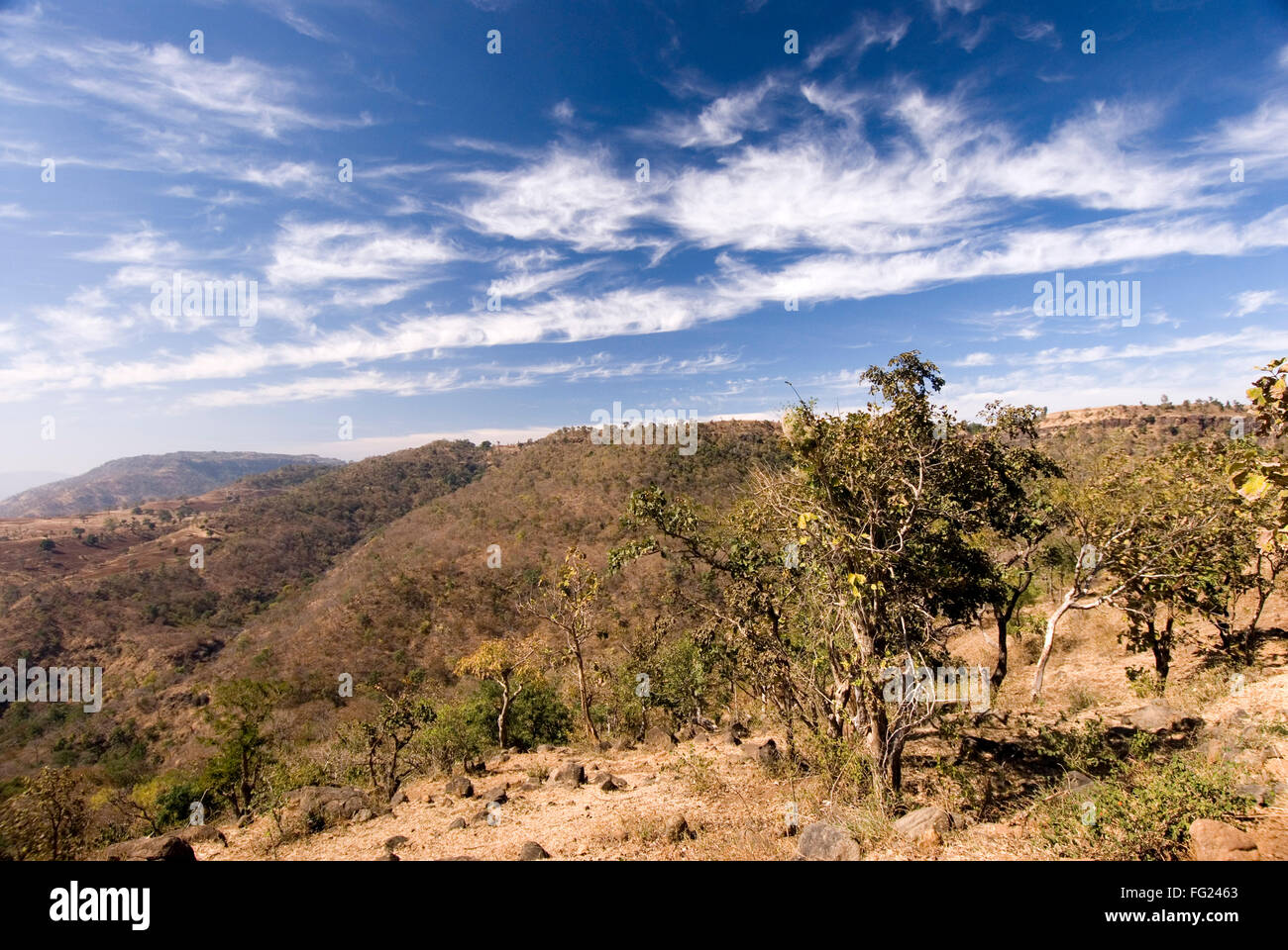 View of Satpura ranges from Chikhaldara ; district Amravati ; Maharashtra ; India Stock Photo