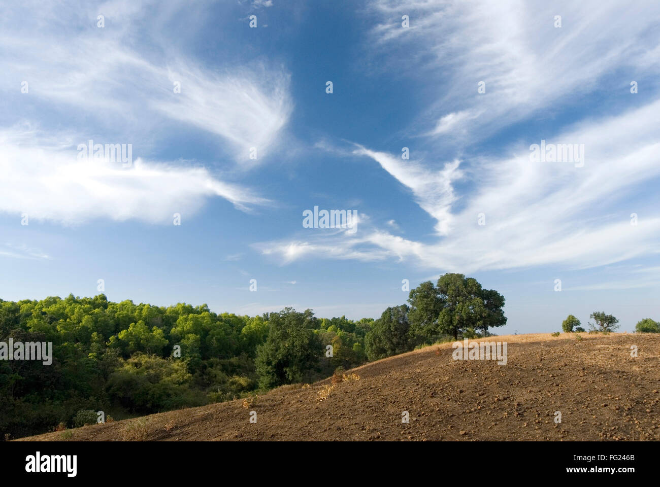Landscape Of Brown Earth And Beautiful Dark Blue Sky With White Stock Photo Alamy