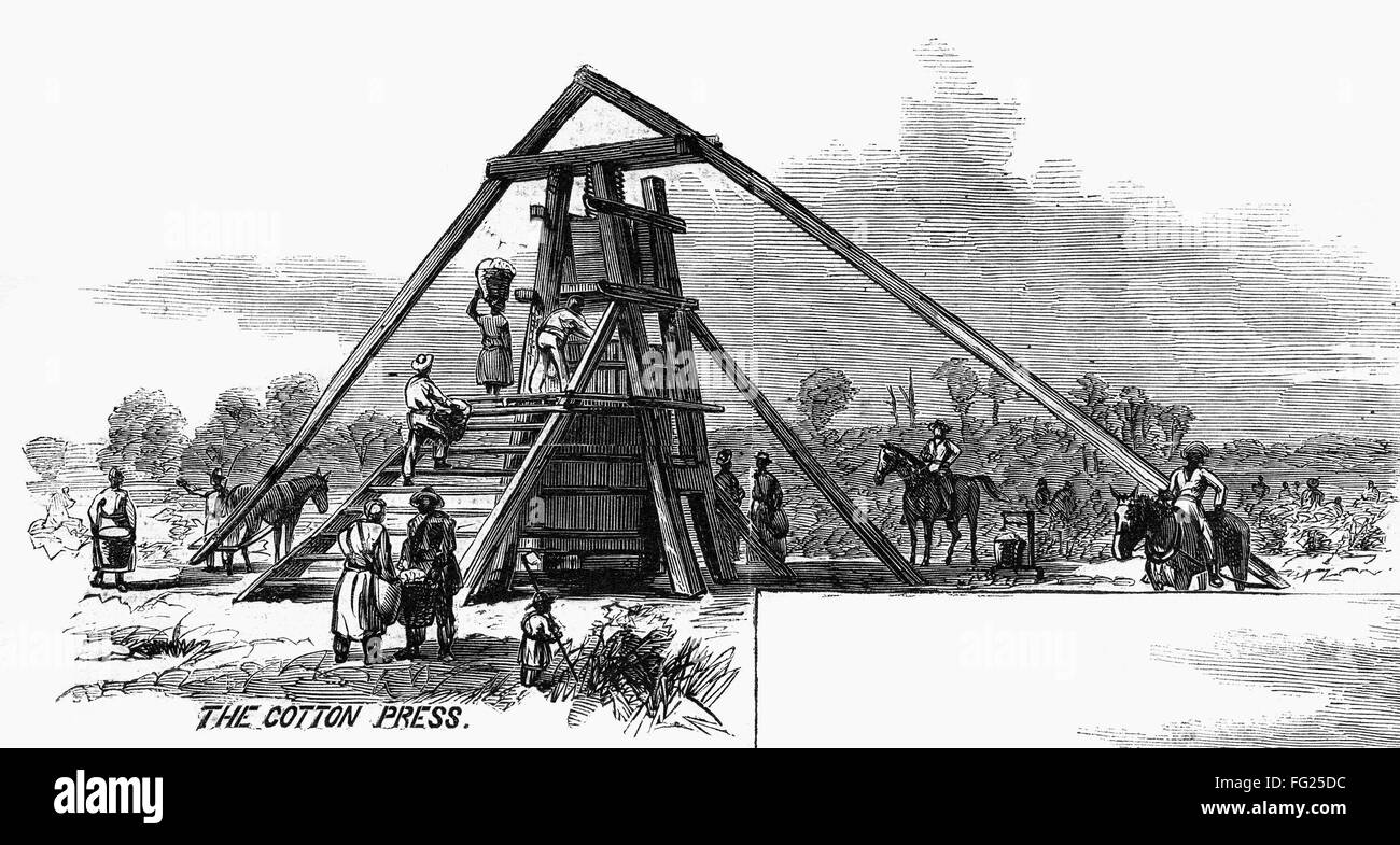 COTTON PLANTATION, 1867. /n'The Cotton Press.' Engraving from a drawing