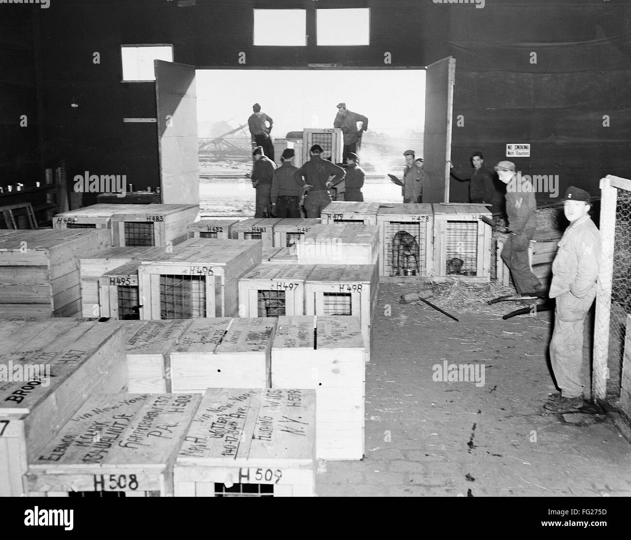 WWII PET TRANSPORT, 1946. /nPets belonging to American GIs being