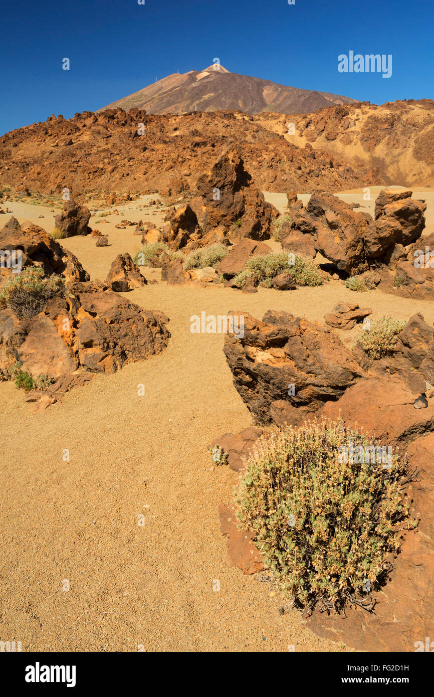 Desert landscape in the Teide National Park on Tenerife, Canary Islands, Spain. Photographed on a sunny day. Stock Photo