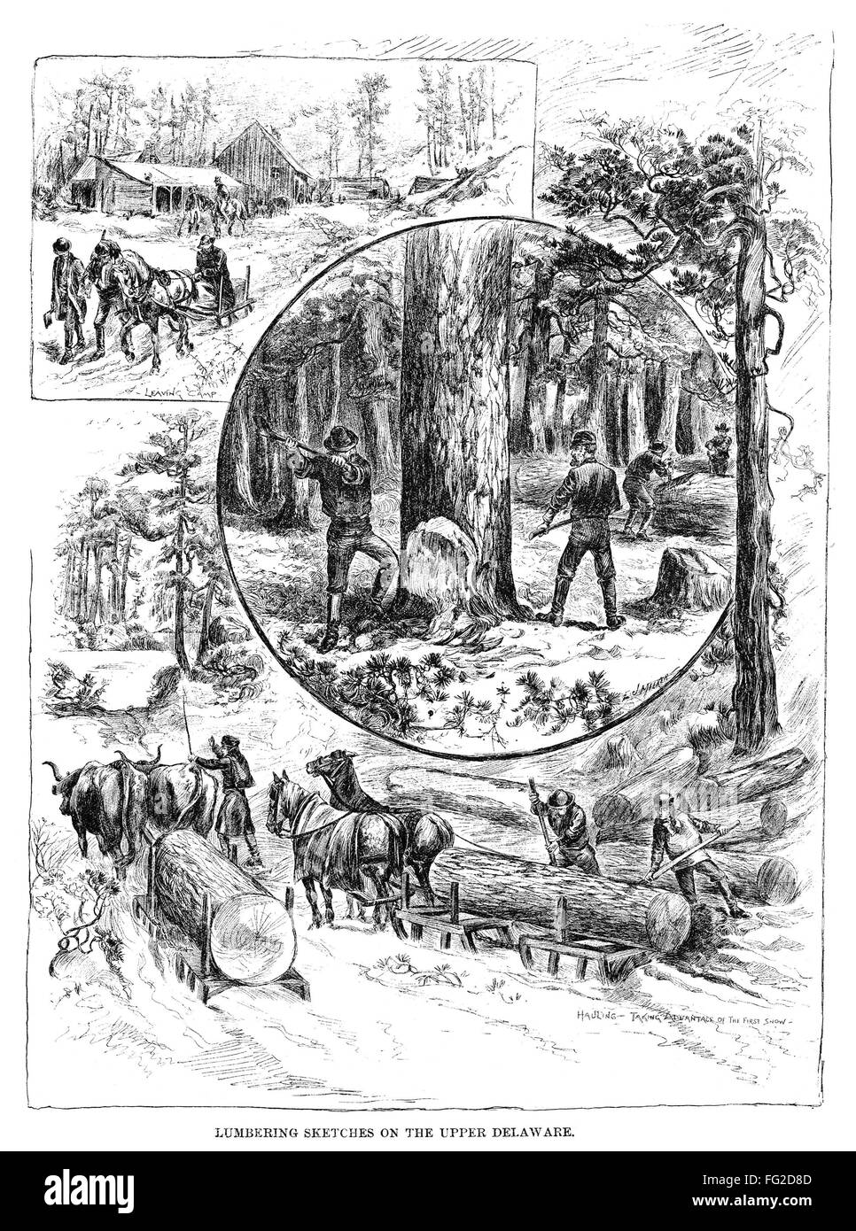 LUMBERING, 1883. /n'Lumbering Sketches on the Upper Delaware.' Engraving, American, 1883. Stock Photo