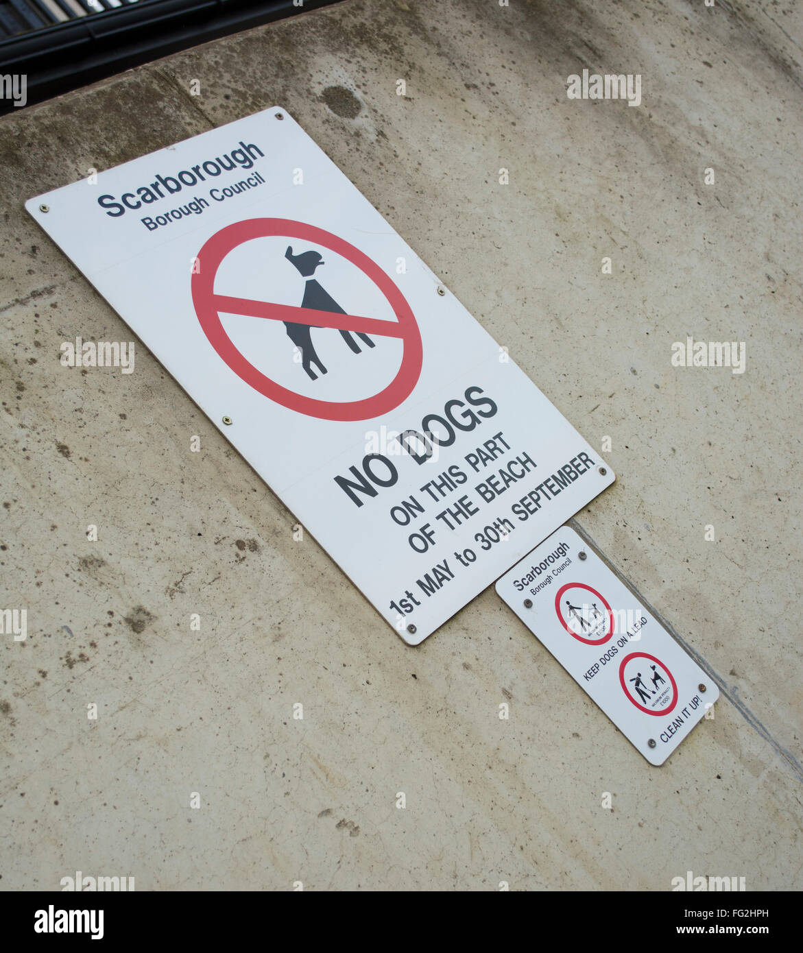 No dogs on beach sign. Scarborough Borough Council. Attached to concrete sea wall. Gives date as 1st May to 30th September. Stock Photo