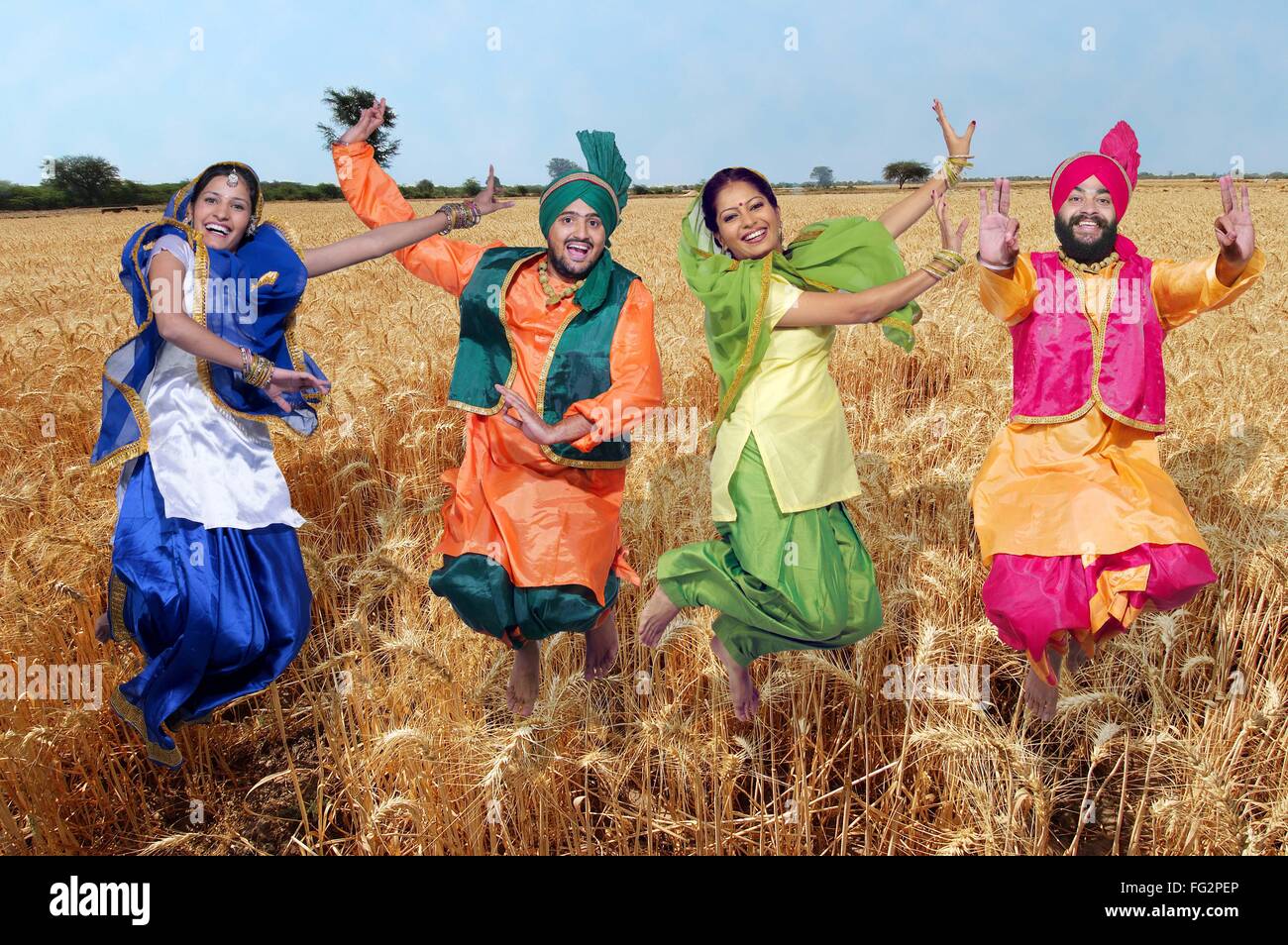 Punjabi crops hires stock photography and images Alamy