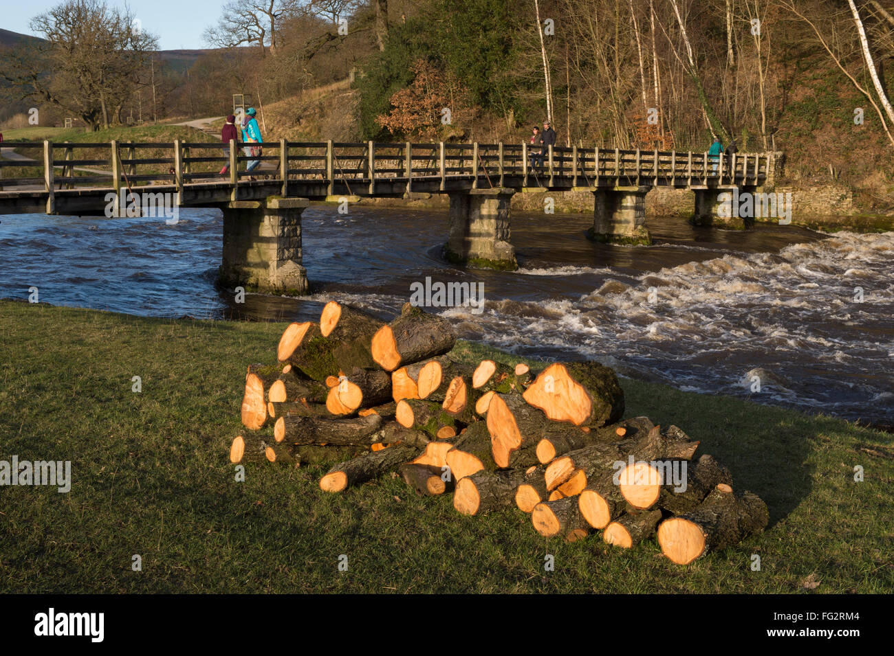 On a sunny day, people are crossing the footbridge over the River Wharfe, Bolton Abbey, North Yorkshire, England, UK - pile of logs in the foreground. Stock Photo