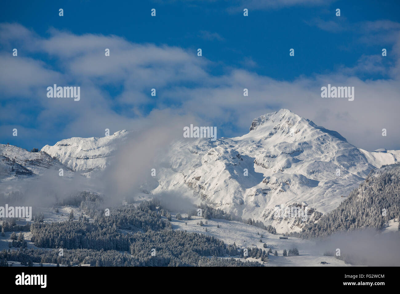 Gross Fulfirst, Swiss mountains seen from Vaduz, Rheintal, Rhine-valley, Liechtenstein. Stock Photo