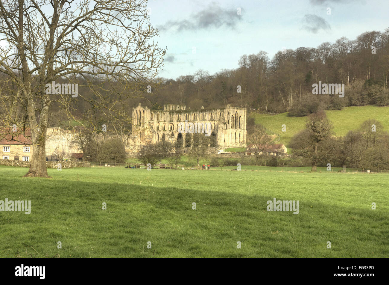 Rievaulx Abbey  the North York Moors National Park Stock Photo