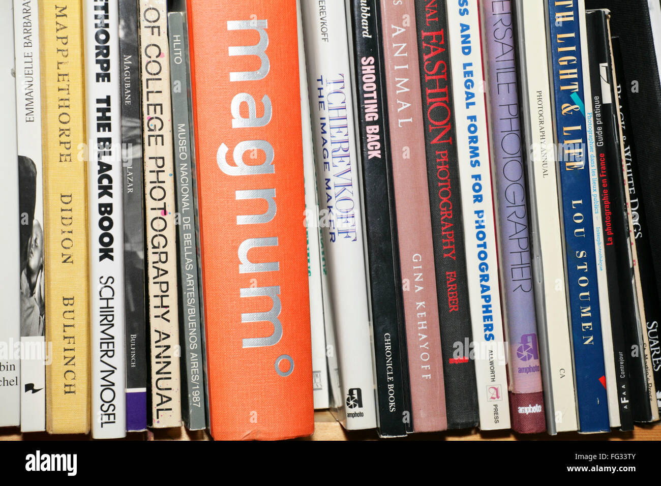 Art books arranged  on a bookshelf Stock Photo
