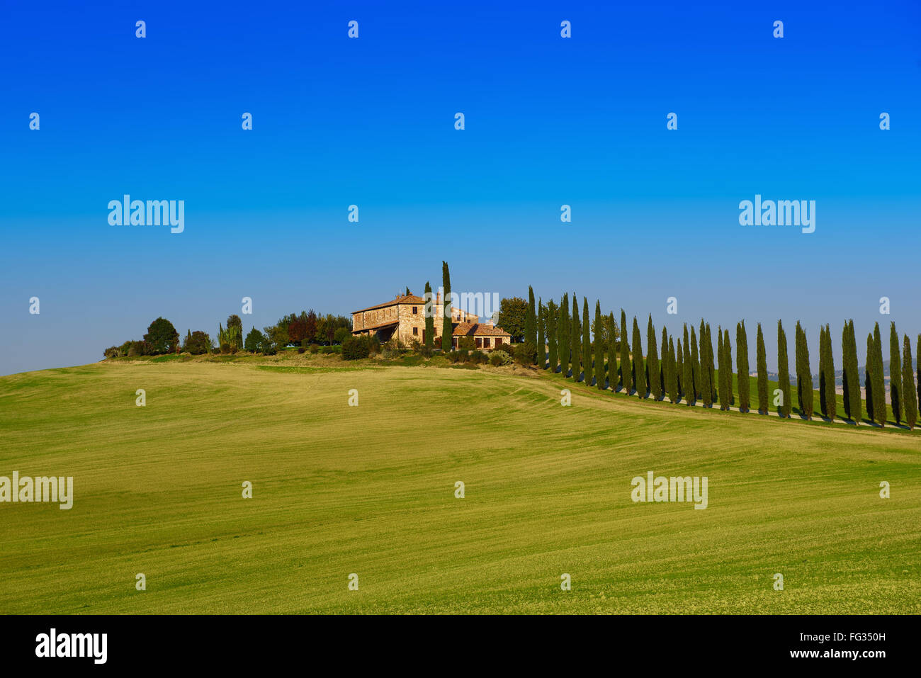 Tuscany typical landscape Stock Photo - Alamy