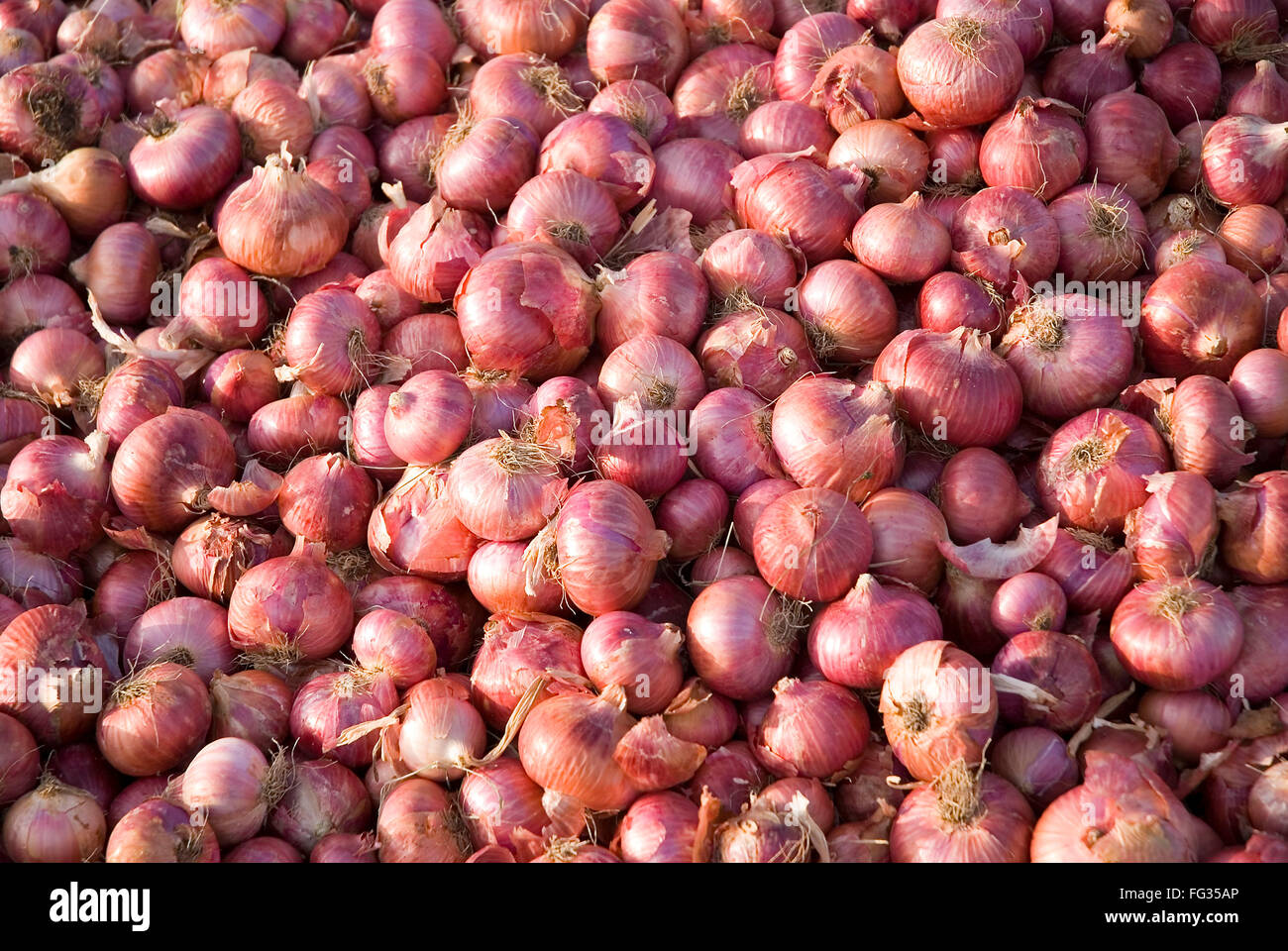 Pile of red skinned onions allium cepa Stock Photo