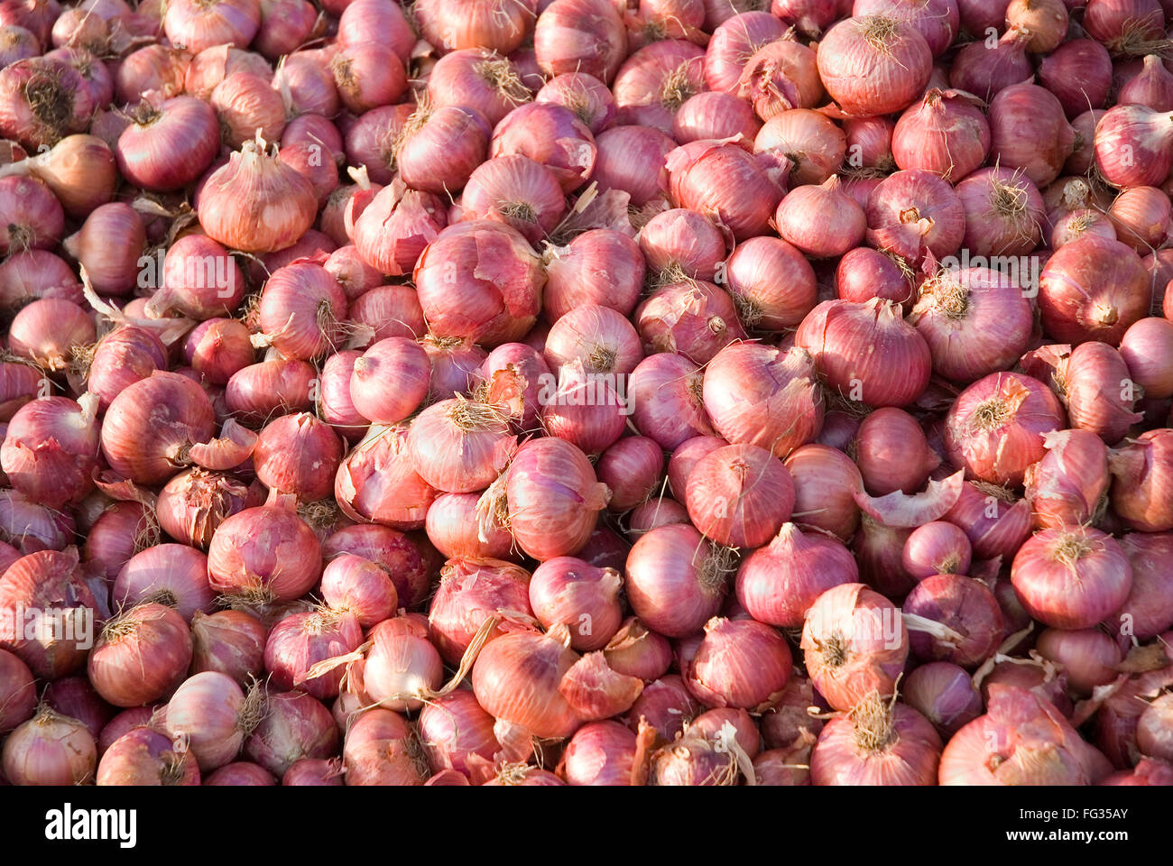 Pile of red skinned onions allium cepa Stock Photo