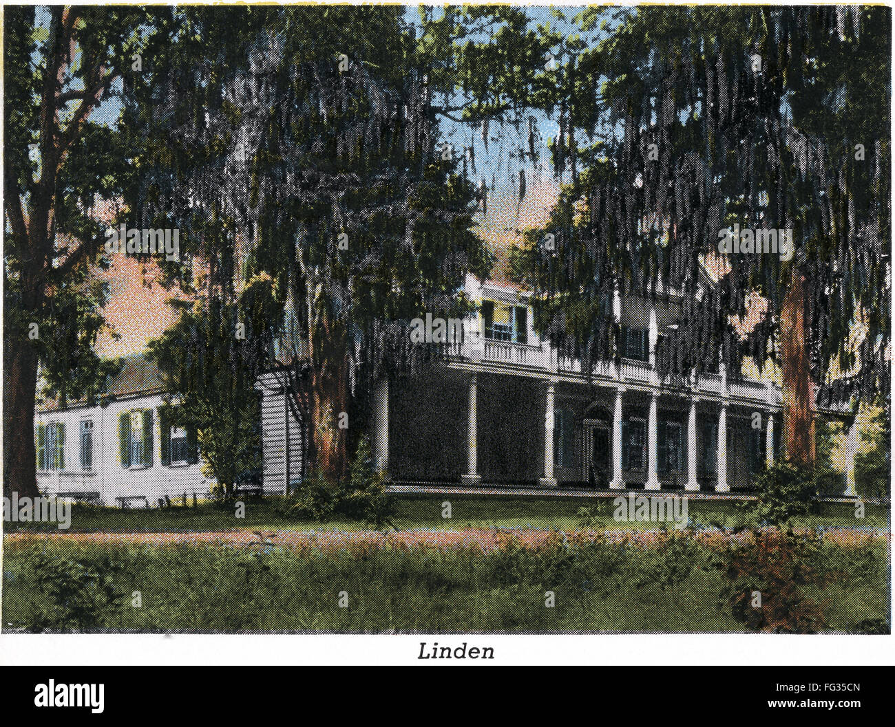 NATCHEZ LINDEN, 1938. /nView of Linden mansion, in Natchez