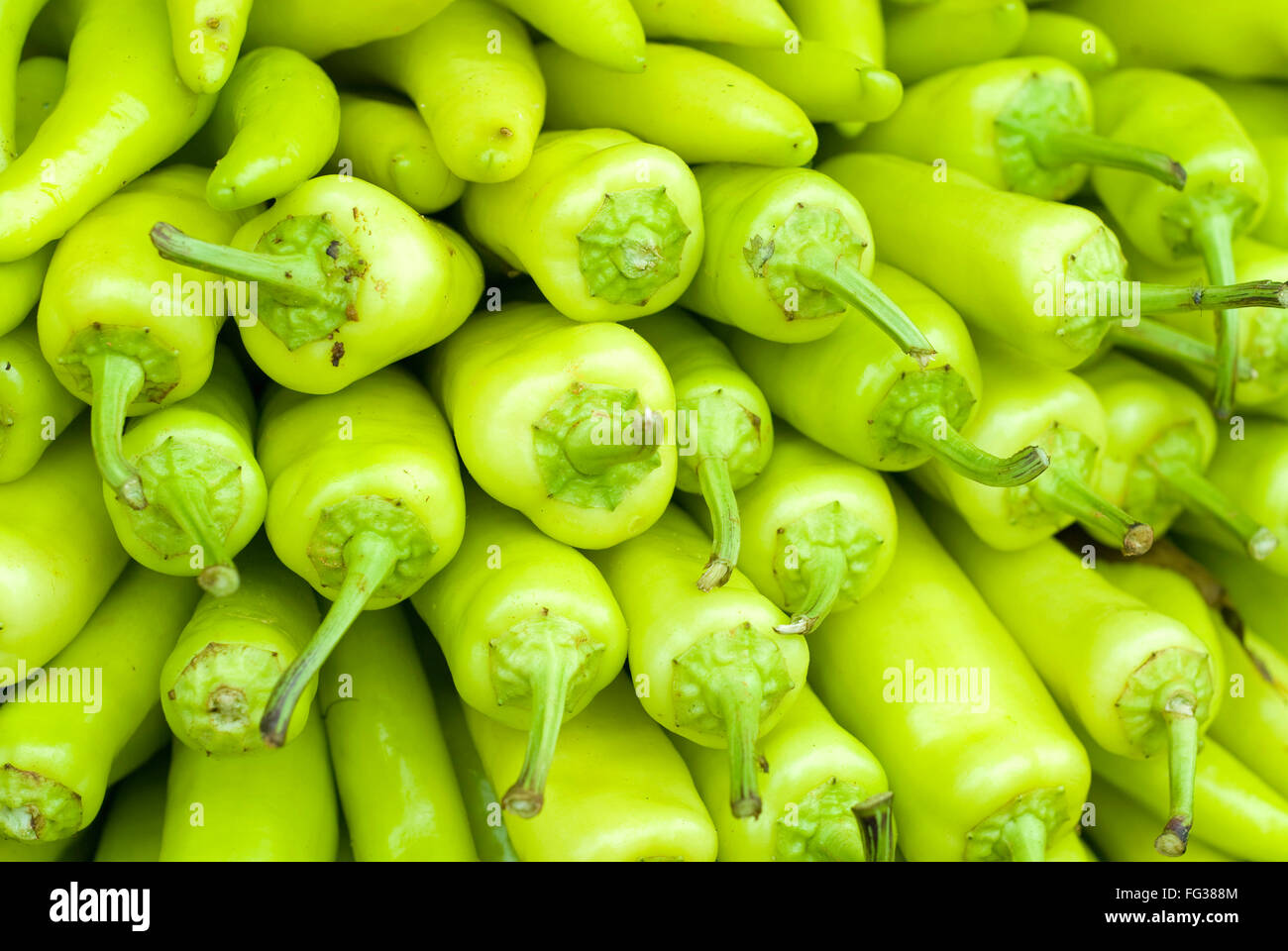 Spices ; green chillies for sale ; Madikeri ; Kodagu near