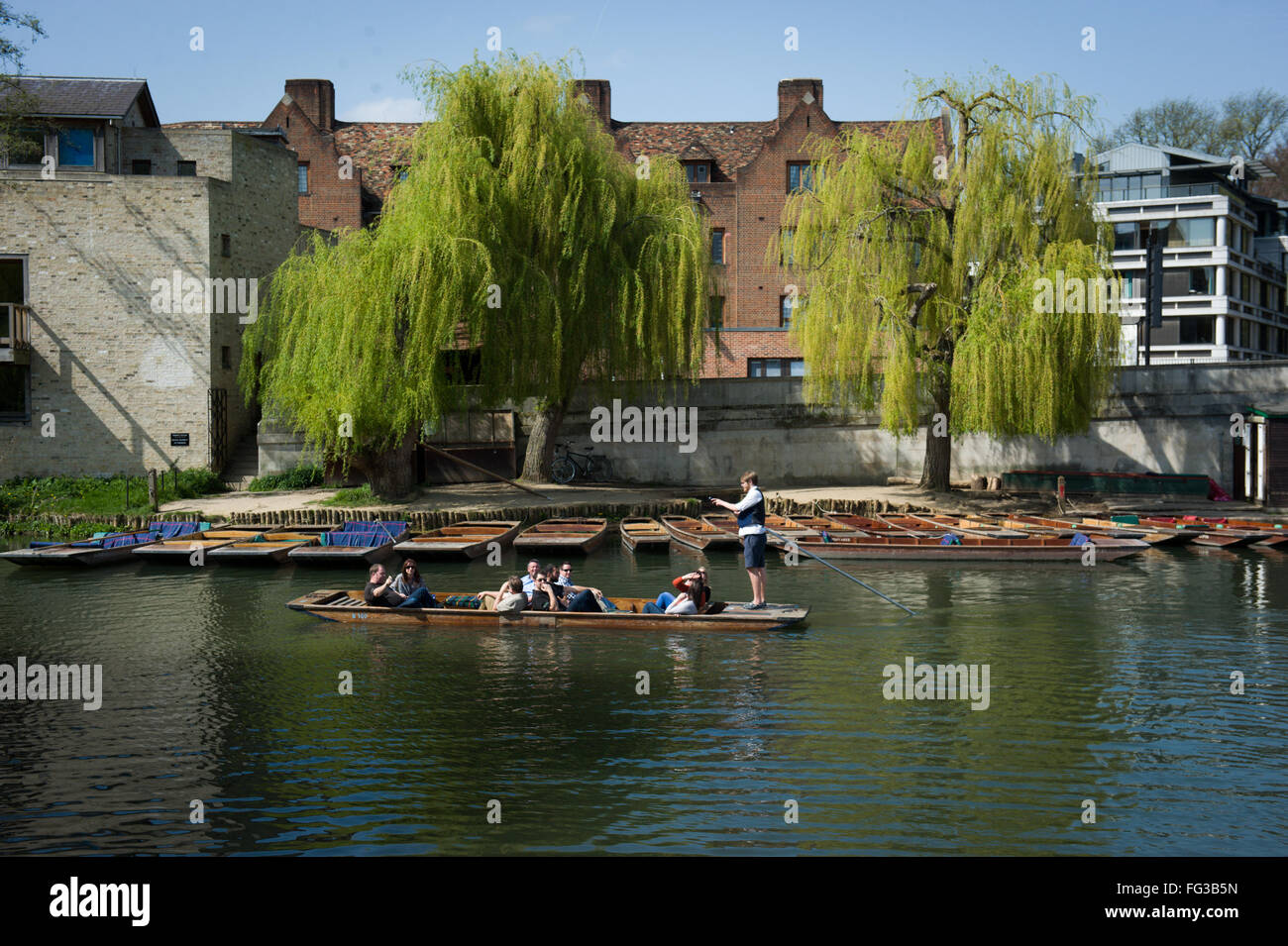 Punting in the University town of Cambridge, England UK Stock Photo