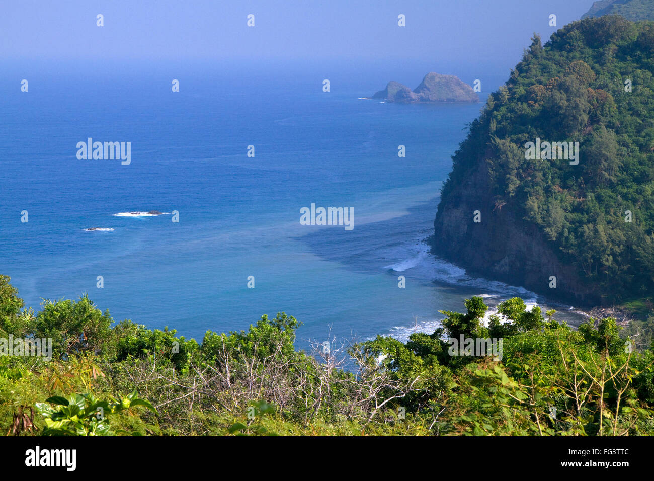 Overlook of the Pacific Ocean and a black sand beach at Pololu Valley on the east coast of Kohala Mountain on the Big Island of Stock Photo