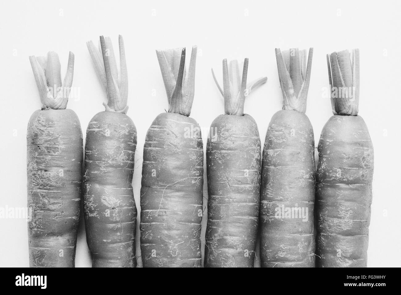 Carrot Black and White Stock Photos & Images - Alamy