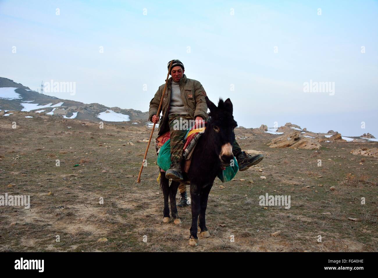 Azerbaijani shepherd on mule. A traditional way of life remains for herdsmen in Lokbatan, a small town 15km south west of Baku Stock Photo