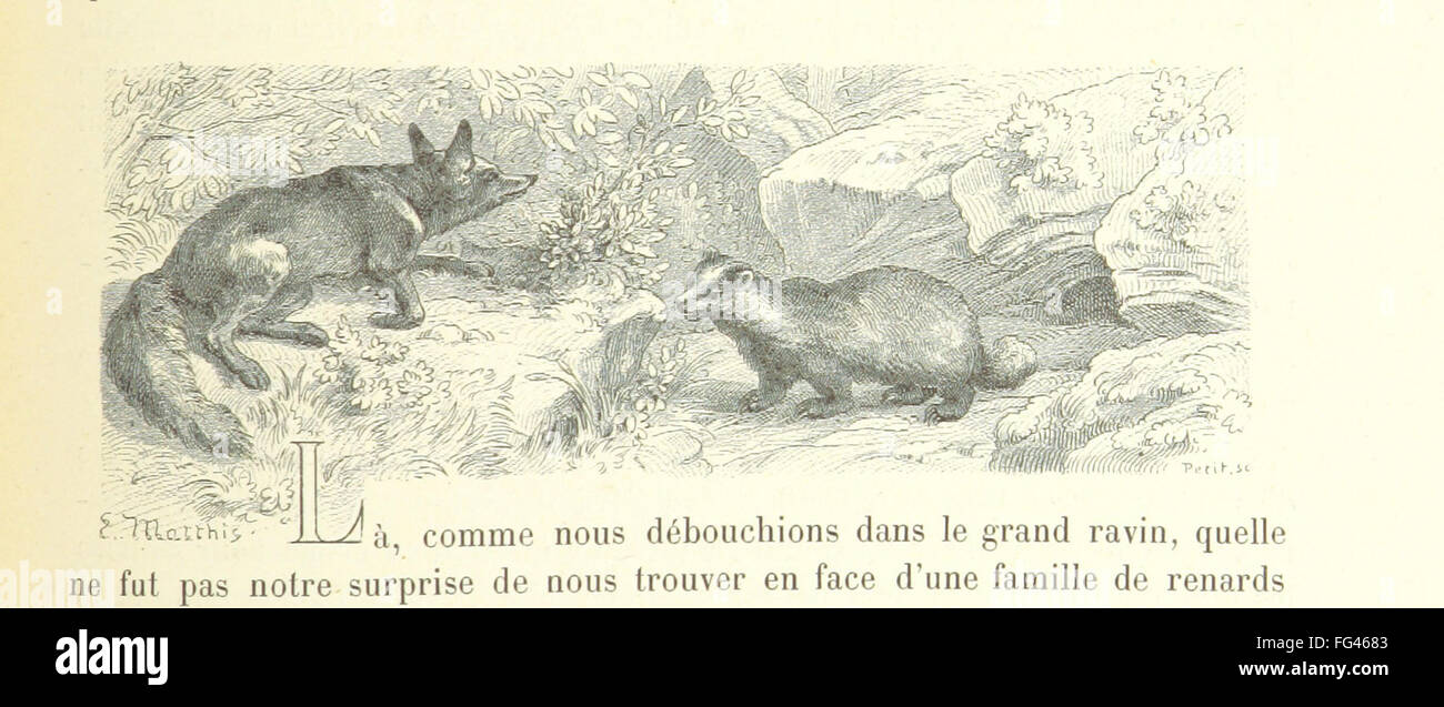 A vintage book written in French that traces the history of Alsace and ...