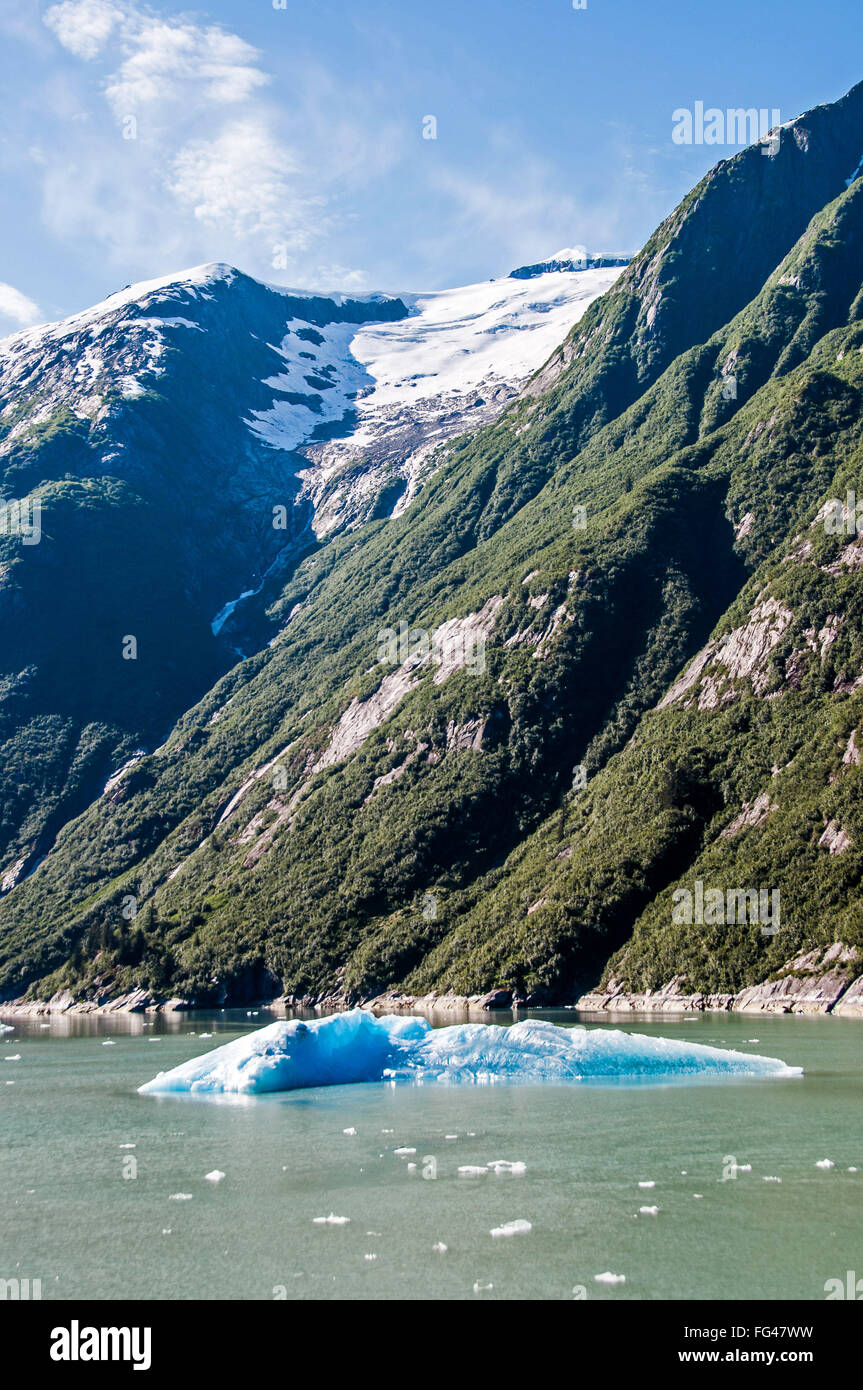 Iceberg in Tracy Arm Fjord near the Sawyer Glaciers in Southeast Alaska Stock Photo