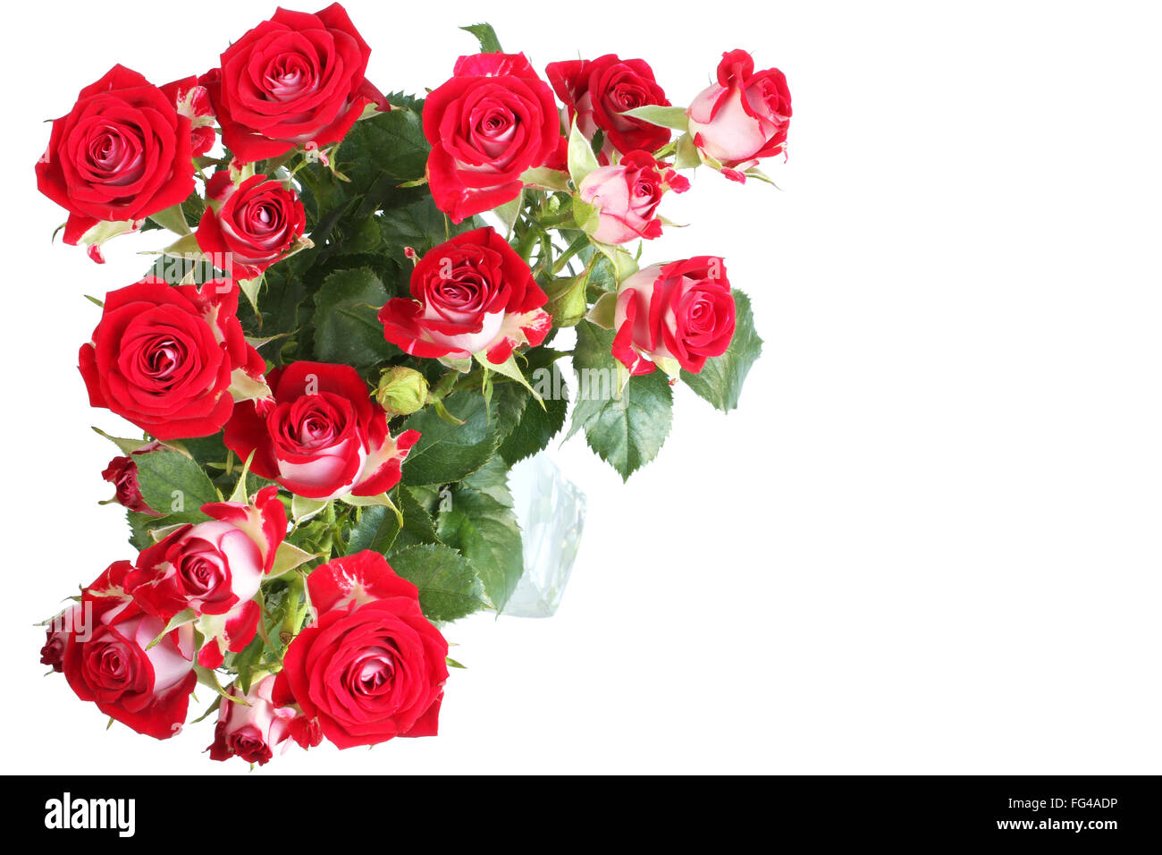 Bouquet of red roses isolated on white background Stock Photo - Alamy