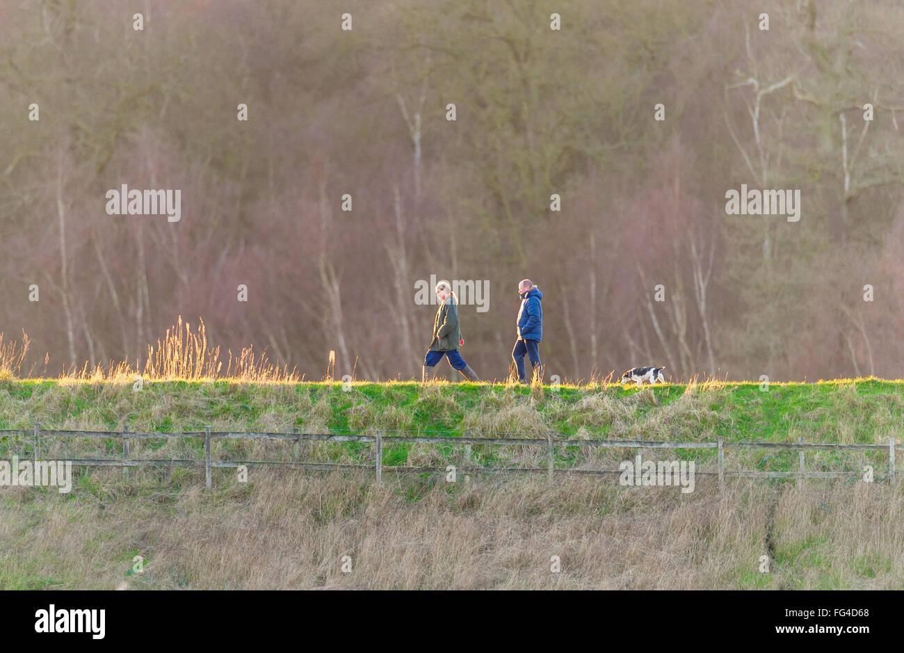 Man and woman walking their pet dog in the later winter's evening sun. Stock Photo