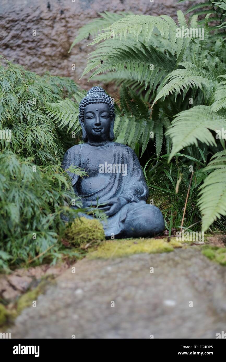 Buddha Statue Amidst Plants In Garden Stock Photo Alamy