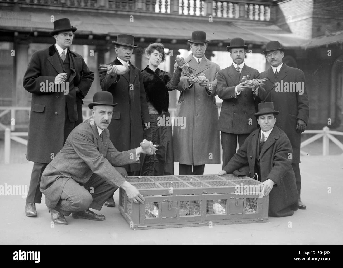 CARRIER PIGEONS, 1915. /nCarrier pigeons being released from the roof