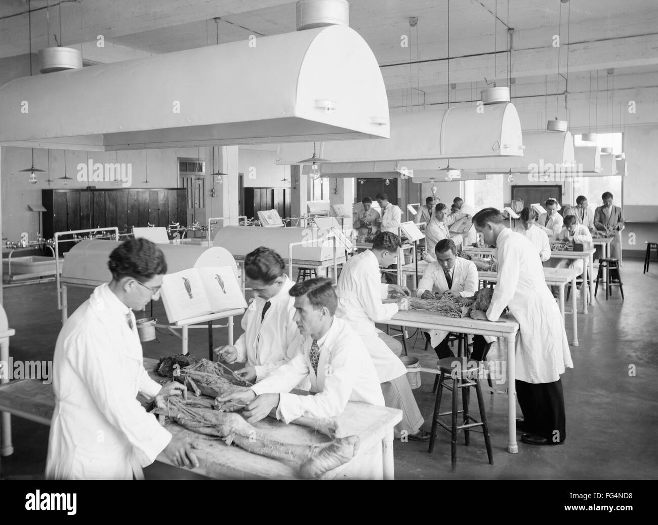 MEDICAL SCHOOL, c1925. /nA dissection class at American University in