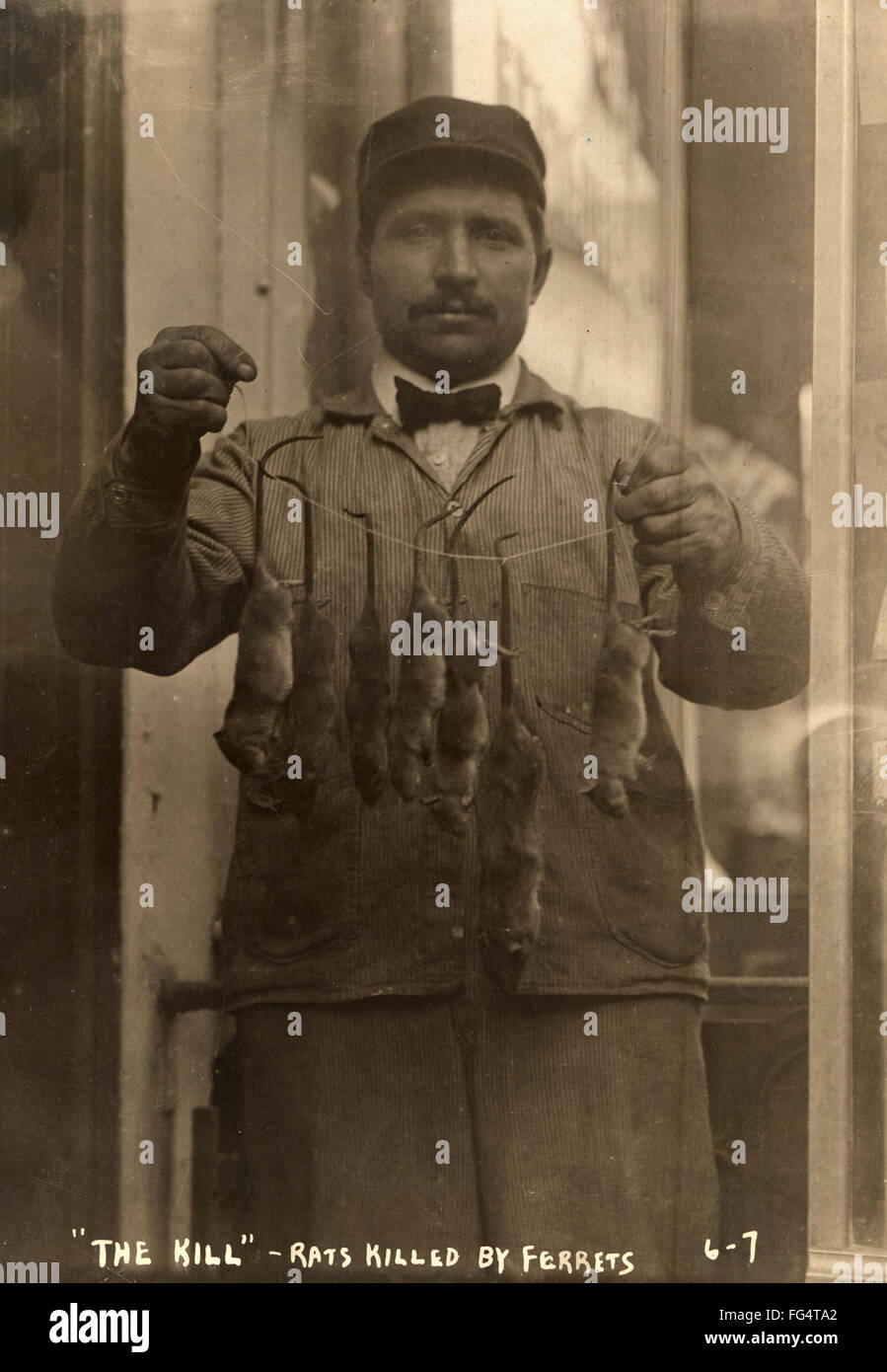 NEW YORK: RAT CATCHER, 1908. /nA rat catcher displaying the rats killed