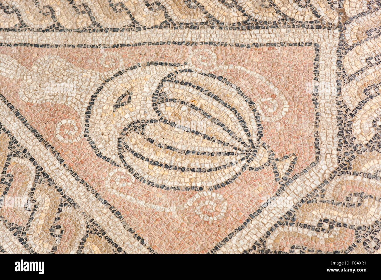 Floor mosaic in the Roman Mosaic Museum, also known as the Roman Edifice,  Constanta, Romania Stock Photo - Alamy