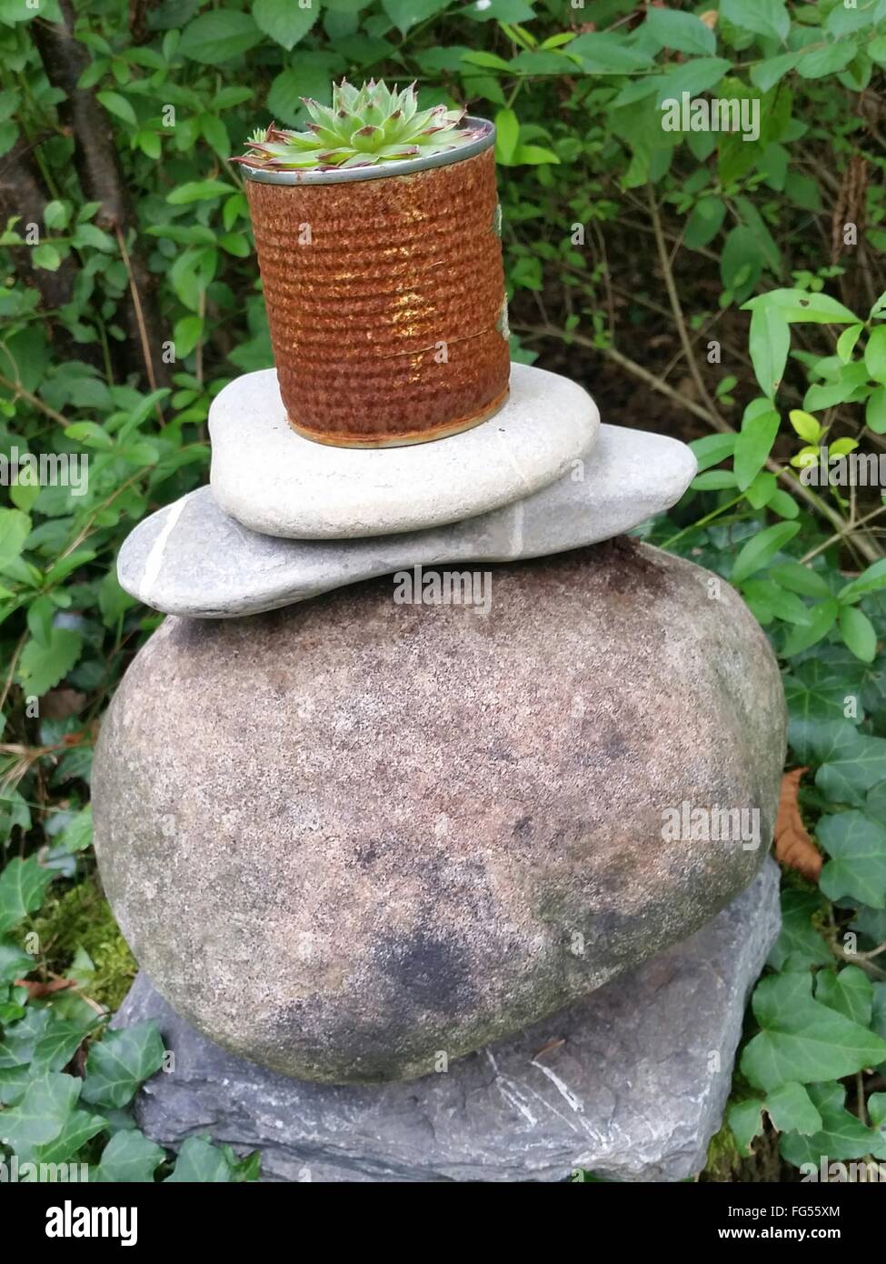 Potted Plant On Rock In Garden Stock Photo Alamy