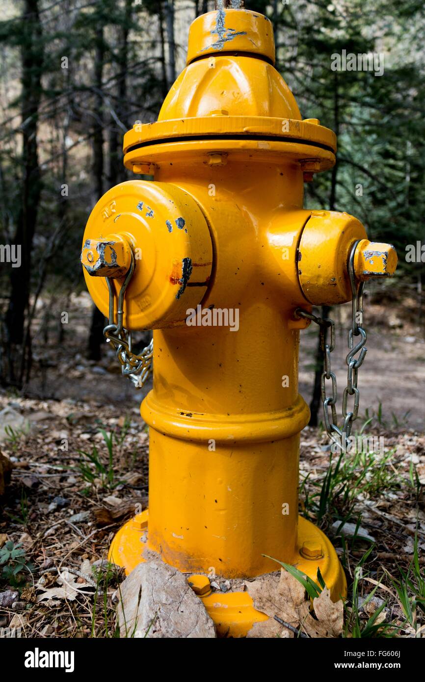 Yellow fire hydrant hires stock photography and images Alamy
