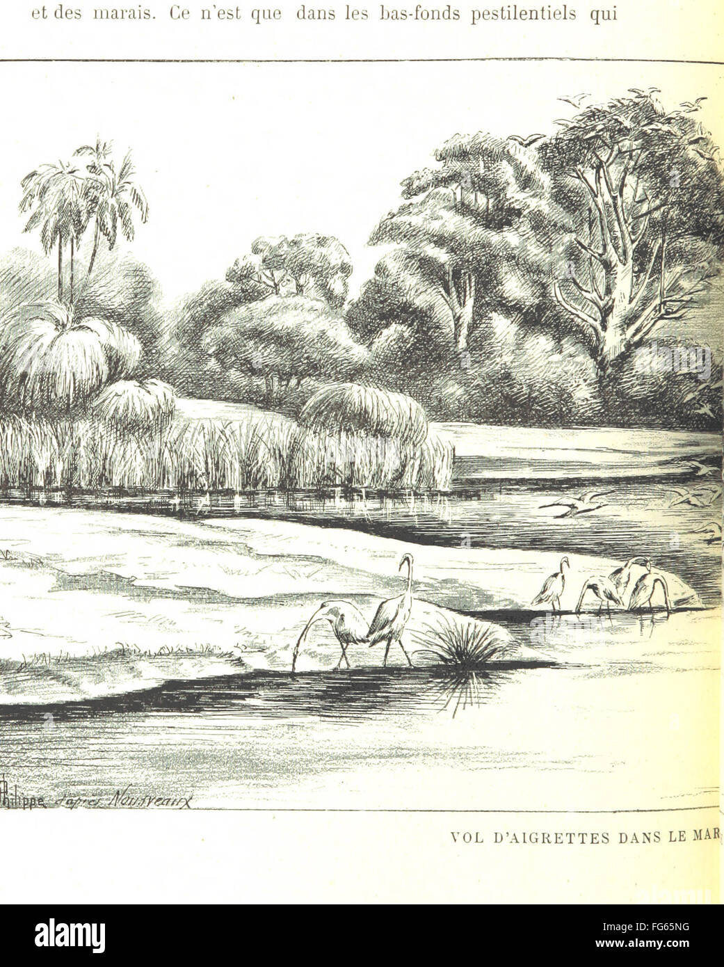 12 of 'Côte occidentale d'Afrique. Vues, scènes, croquis. Nombreuses ...