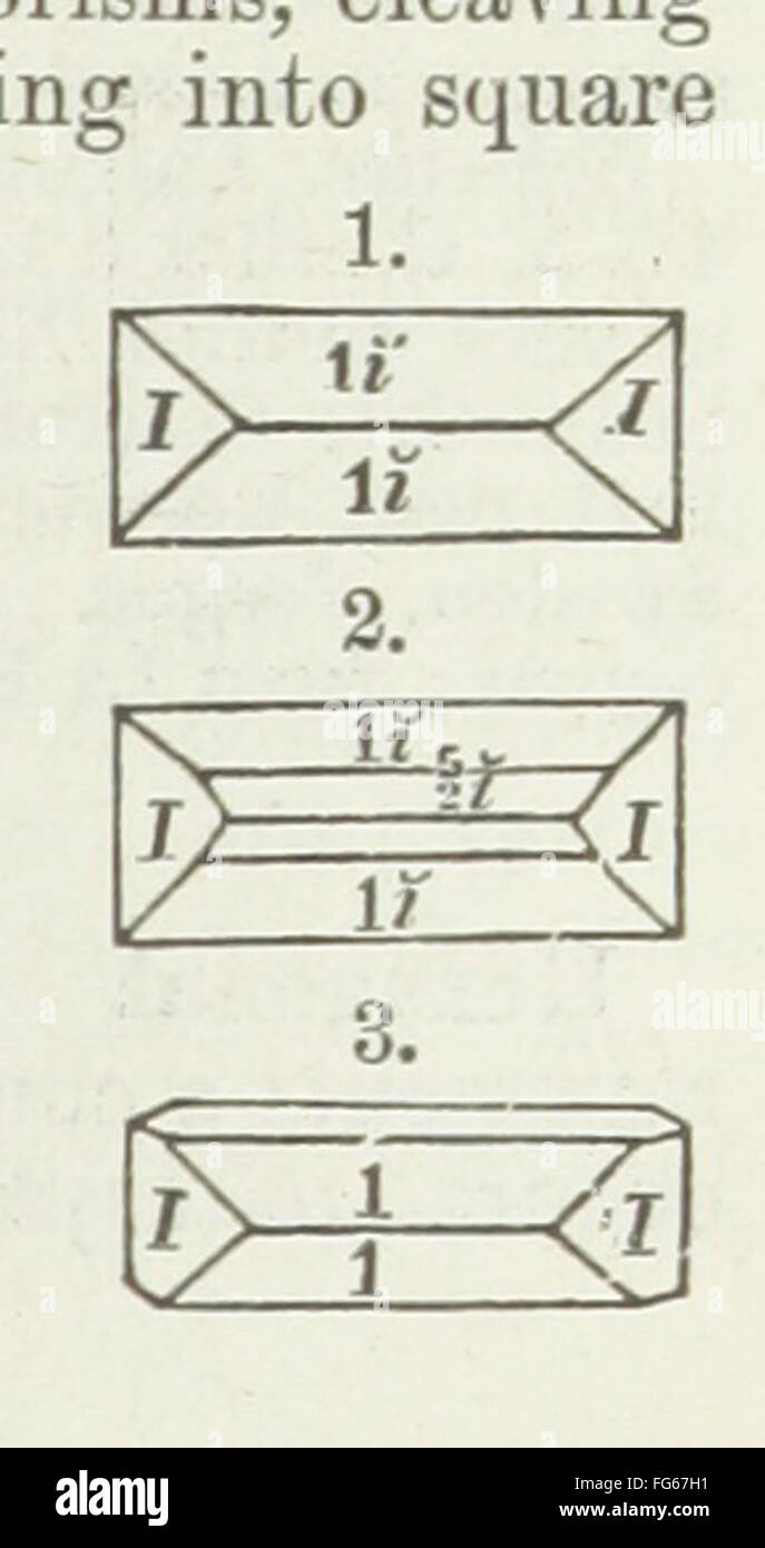 25 of '[Manual of Mineralogy, including observations on mines, rocks ...