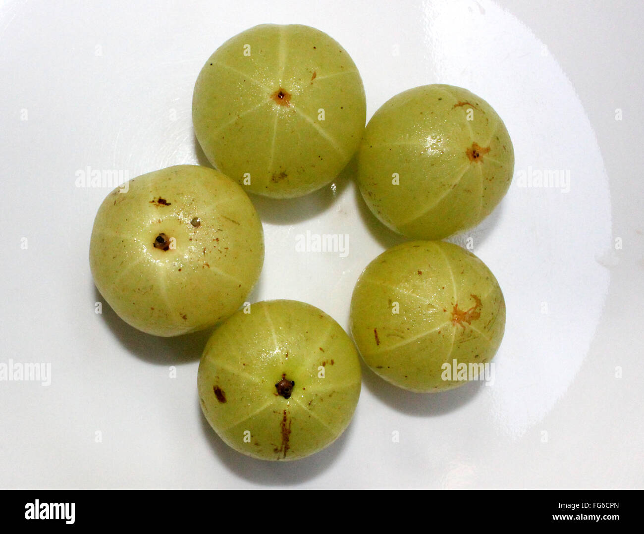 Phyllanthus emblica, Myrobalan, Indian Gooseberry, fleshy fruits with stone, consumed fried, in pickles, medicinal Stock Photo