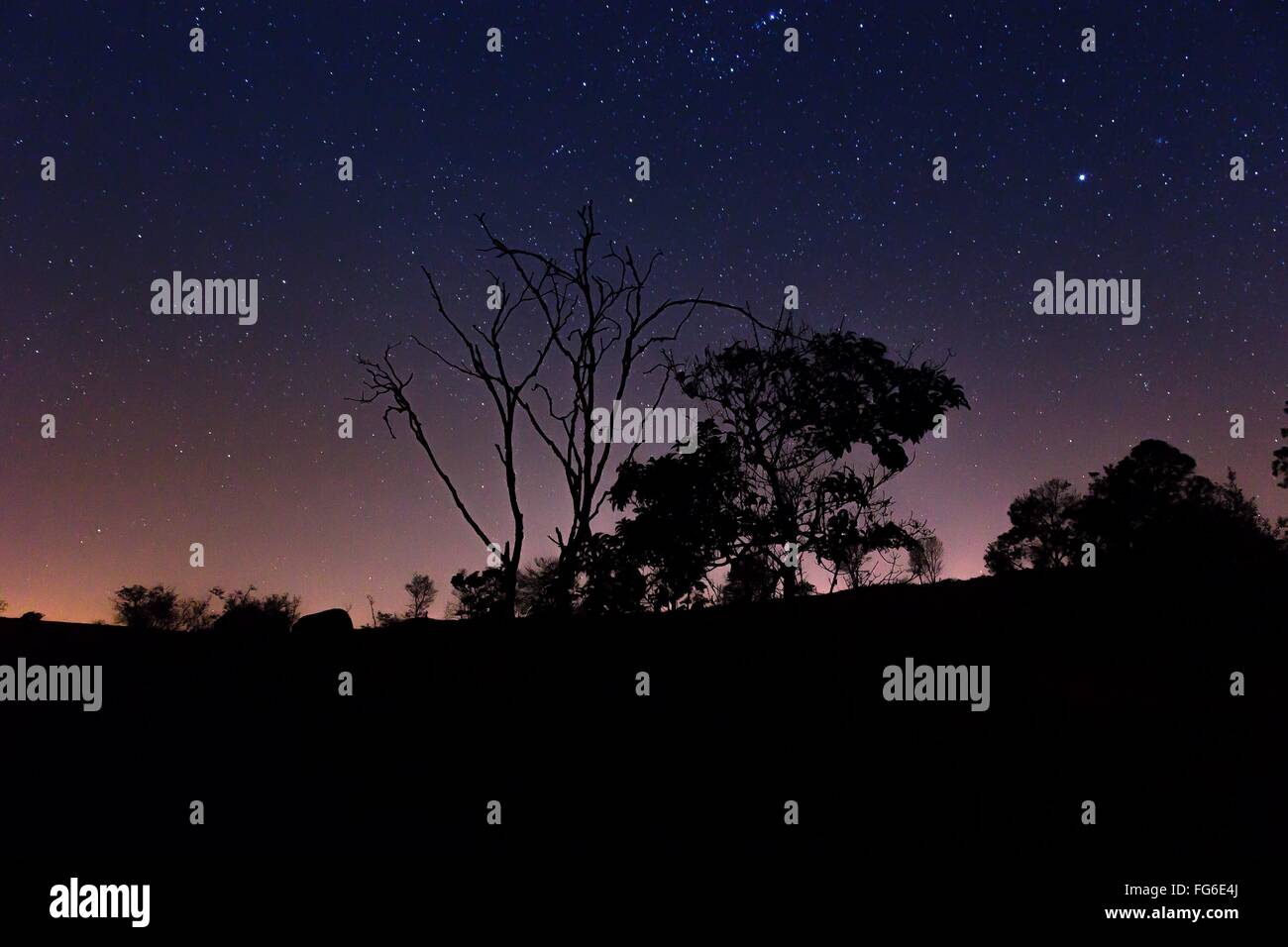 Low Angle View Of Silhouette Trees On Field Against Sky At Dusk Stock Photo