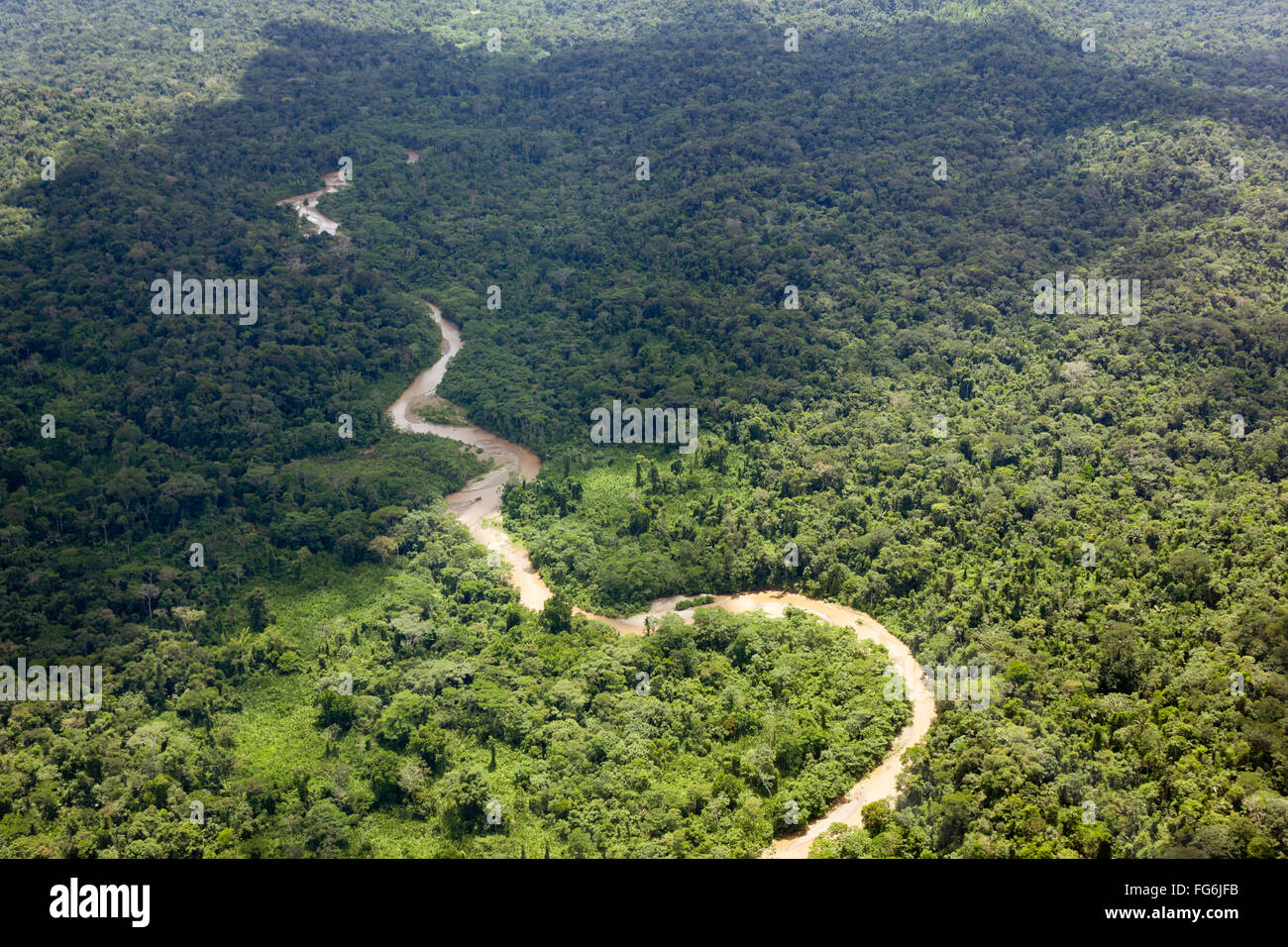 Aerial view of a river running through lowland Amazonian rainforest in Pastaza Province, Ecuador Stock Photo