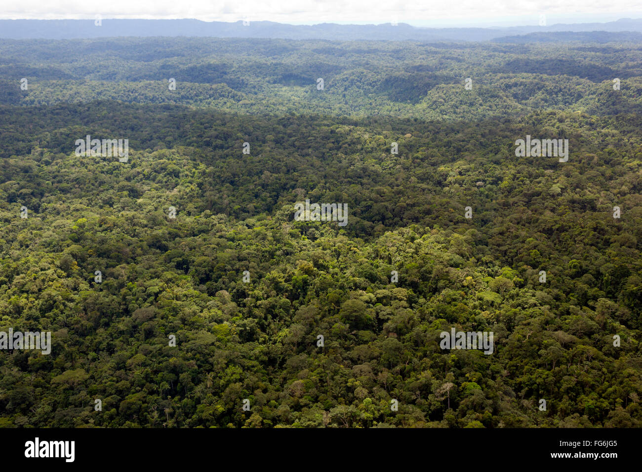 Aerial view of lowland Amazonian rainforest in Pastaza Province, Ecuador Stock Photo