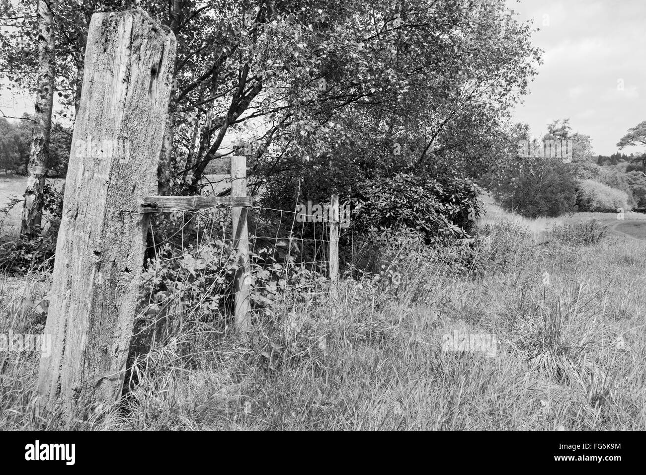 Sunny landscape farm gate Black and White Stock Photos & Images - Alamy