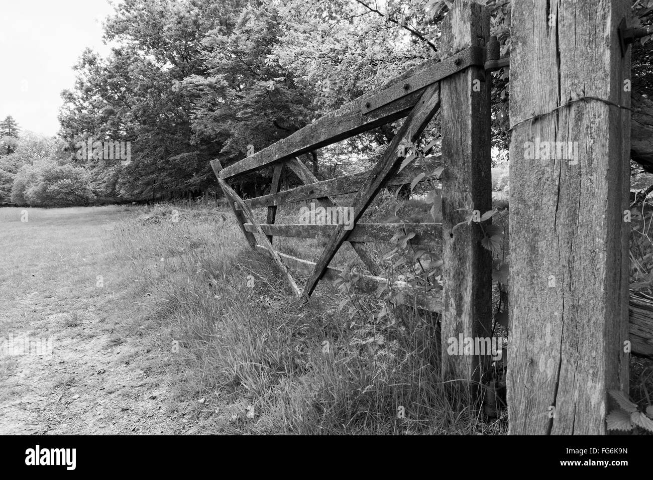 Black and white portrait of a gate in East Sussex Stock Photo