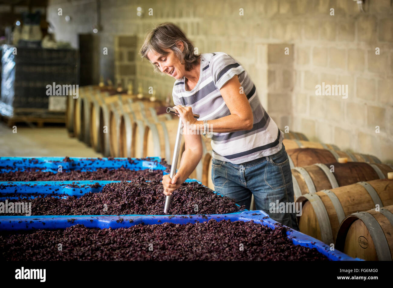 Wine maker punching down the cap on wine grapes fermenting for red wine; Paarl, Western Cape, South Africa Stock Photo